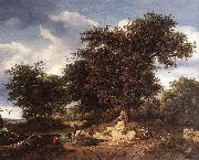 RUISDAEL, Jacob Isaackszon van The Great Oak af oil painting
